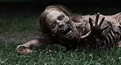 The Walking Dead - HBO
